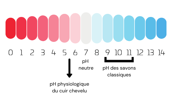 Shampoing solide pH neutre Shampoing solide pH neutre
